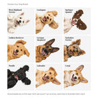 Did Someone Say Walkies Print